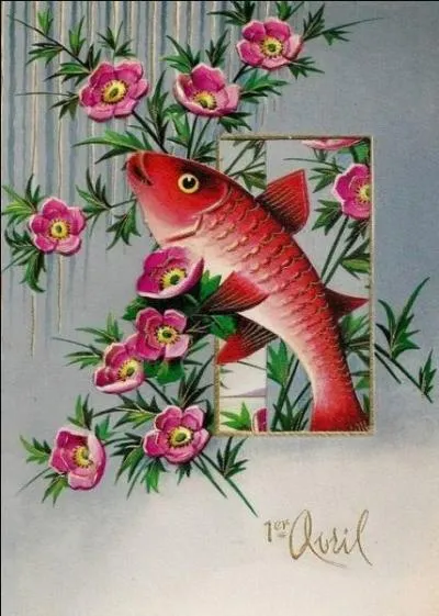 En Alsace, au XIXe sicle, on fabriquait du foie gras de cigogne :