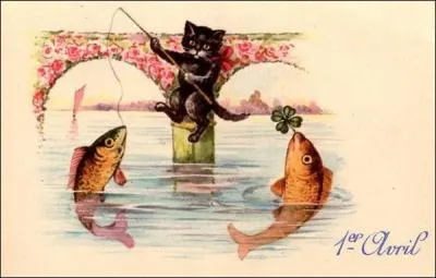 En Italie, un homme adoptait rgulirement des chats  la SPA. Il adorait les chats ! Il les faisait cuire au four avant de les dguster !