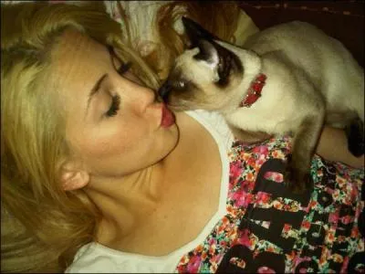 Par quelle chanson finit la srie ?