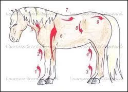 A quoi sert le jet de douche directionnel ?