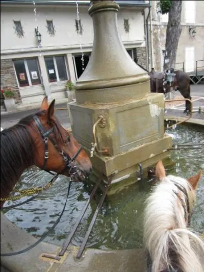 Un cheval est fait en descendant lorsque ...