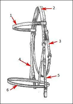 Quelle est la partie numro 5 du filet sur la photo ?
