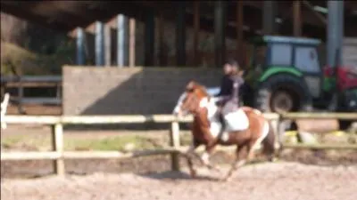 A quoi sert la bricole ?