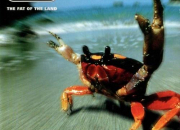 Quiz The Prodigy - The Fat Of The Land