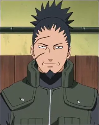 Il ressemble à Shikamaru, mais ce n'est pas Shikamaru, et je peux vous dire que ce personnage est un piètre joueur au shôgi (échecs japonais) ; c'est...