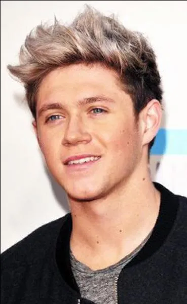 Quelle est l'origine de Niall Horan ?