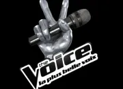 Quiz The Voice