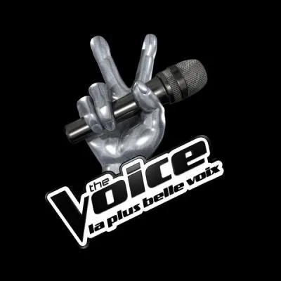 Que signifie  The Voice  ?