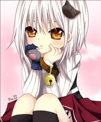 Qui est Koneko Toujou ?