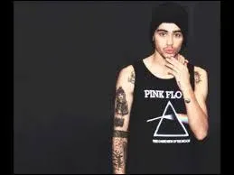 Zayn lui est aussi sur un canap. En compagnie de qui ?