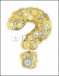 Je suis un aiguillat noir, que suis-je ?