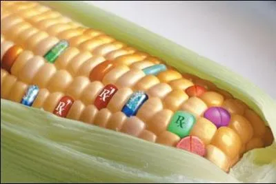 Quelle est la technique la plus connue pour obtenir des organismes gntiquement modifis ?