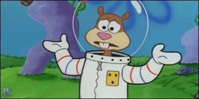 Dans l'épisode "Le Mal du pays", où Sandy veut-elle aller ?