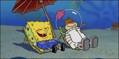 Quel sport Bob et Sandy pratiquent-ils souvent ?