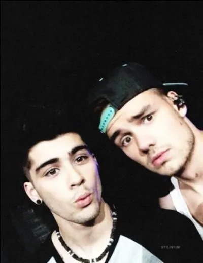 La bromance juste parfaite ! Mais comment est-elle appele ?