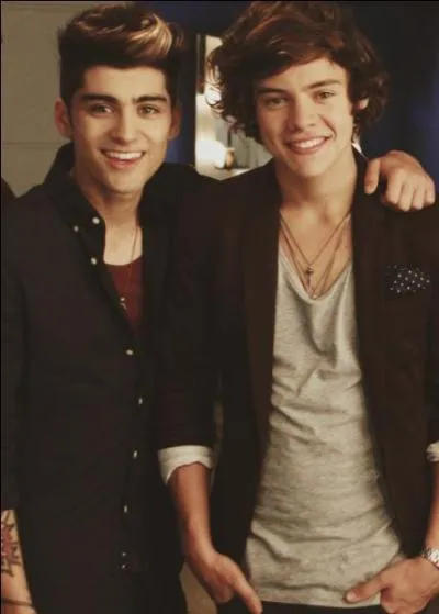 Cette bromance est tellement parfaite; mais qui reprsente-t-elle ?