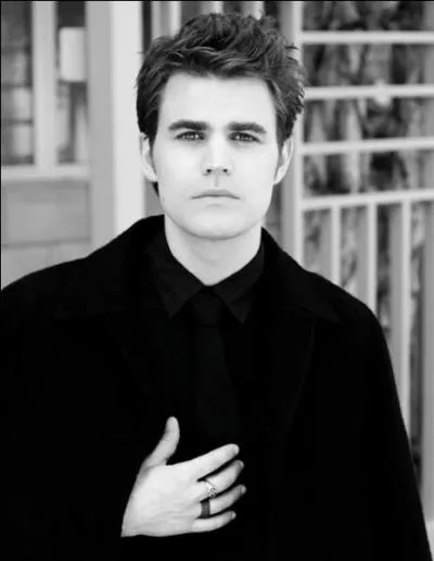 Qui est Stefan Salvatore ?