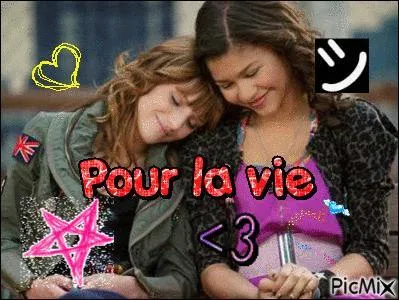 Qui joue les 2 rles principaux dans Shak It Up ?