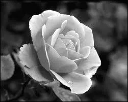 Le clip est-il en noir et blanc ? (attention pige ! )