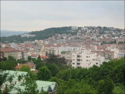 Grand centre industriel clbre pour ses 'Verts', c'est ?