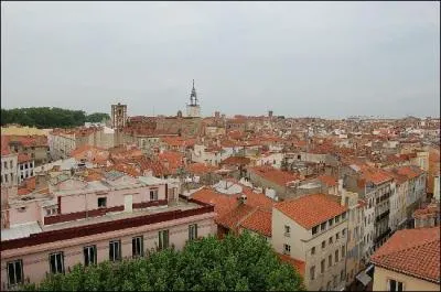 Le jaune et le rouge sont ses couleurs, c'est ?