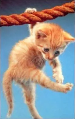 Se sortir d'une mauvaise situation !