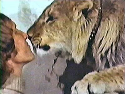 Trouvez l'expression consacre  ce flin !