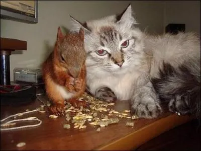 Quelle expression allez-vous choisir, d'aprs cette photo ?