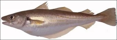 Avoir une expression un peu niaise !