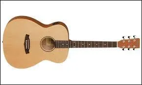 Quelle sorte de guitare suis-je ?