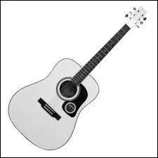 Comment s'appelle ce type de guitare ?