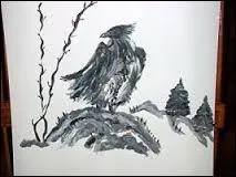 Voici 3 oiseaux de proie, lequel est un rapace nocturne ?