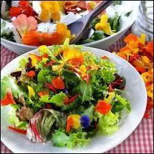 Les fleurs, les feuilles et les boutons des fleurs du  cresson du Prou , dj connu sous Louis XIV, sont comestibles. Quel est le nom plus connu de cette plante ?