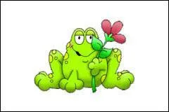 Le grapar a effray le chat, quel peureux ! Mais quel est cet animal qui lui a fait peur ?