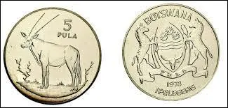 Quelle est la monnaie du Botswana ?