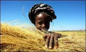 Lequel de ces pays ne dsigne pas une ancienne colonie portugaise ?