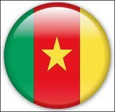 Quel pays africain voit ici ses couleurs de reprsentes ?