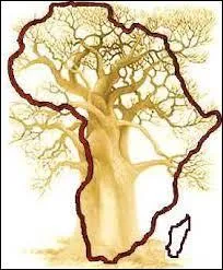 Approximativement, quelle est la superficie du continent africain ?