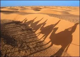 Sur lequel de ces pays ne s'tend pas une partie du Sahara ?