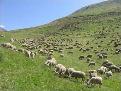 Qu'est-ce que la tragdie des biens communs ?