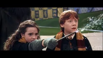 Finite Incantatem est un sortilge magique qui annule dfinitivement l'effet d'un autre sortilge en cours. Dans  Harry Potter et la Chambre des Secrets , quel effet ce sortilge, lanc par Hermione Granger, a-t-il sur le cognard qui poursuivait Harry Potter ?