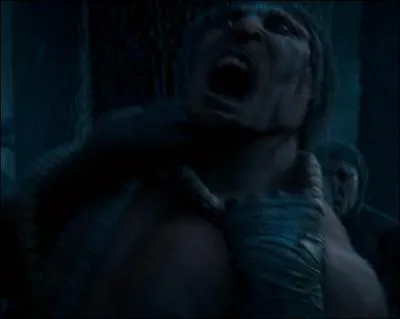 Dans  Harry Potter et l'Ordre du Phnix , Dolores Ombrage lance le sort Incarcerem, sur les centaures de la Fort interdite. Quel centaure est vis par ce sort qui fait apparaitre des cordes autour de la personne concerne ?