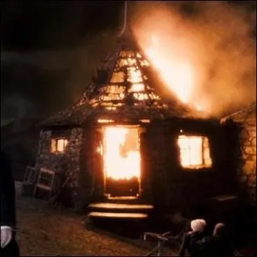 Le sortilge de Feu permet de faire apparaitre des flammes en prononant l'incantation Incendio. Quel Mangemort utilise ce sortilge contre la maison de Rubeus Hagrid, en quittant Poudlard, aprs que les serviteurs de Lord Voldemort aient t la vie  Albus Dumbledore, dans  Harry Potter et le Prince de Sang-Ml  ?