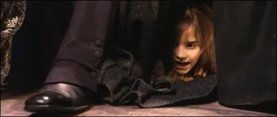 Un autre sort bas sur l'lment du feu, Lacarnum Inflamarae, permet d'enflammer un objet. Lors de quel film de la saga  Harry Potter  Hermione Granger utilise-t-elle ce sort sur la robe de Severus Rogue ?