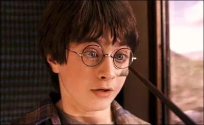 Le sortilge Reparo est trs utile pour rparer certaines choses. Une variante de ce sortilge magique est Oculus Reparo que Hermione Granger utilise pour rparer les lunettes de Harry Potter. Combien de fois fait-elle usage de cette formule magique dans la saga  Harry Potter  ?