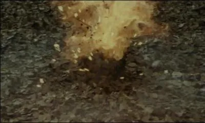 Le sortilge de Dcoupe a pour formule Diffindo ou plus rarement Cracbadabum. Dans quel unique film de la saga  Harry Potter  la formule Diffindo est-elle employe ?