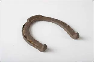 La partie arrire du fer s'appelle :