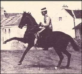 En quitation ,   l'assiette  est :