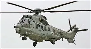 Le caracal a donn son nom  :