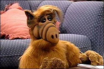 Quel âge a le personnage de "Alf" au début de la série du même nom ?